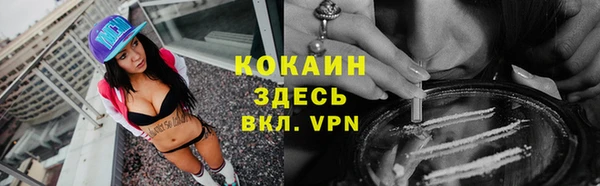 шишки Арсеньев