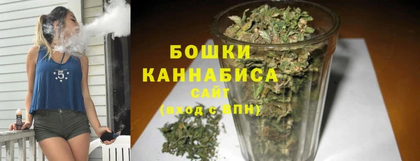 шишки Арсеньев