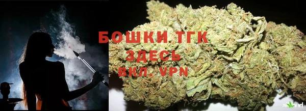 гашик Пестово