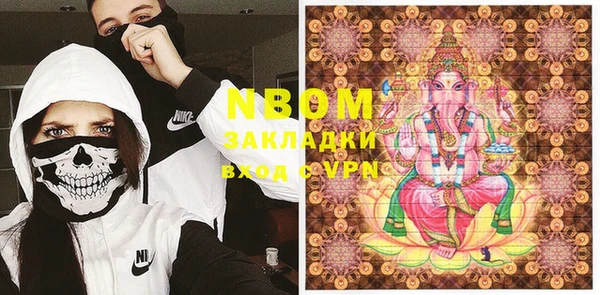 шишки Арсеньев
