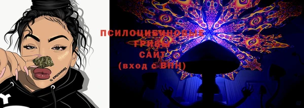 шишки Арсеньев